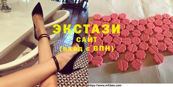 ECSTASY Богородицк